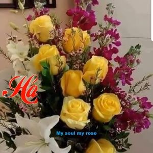 Meet your Posher, Rosana